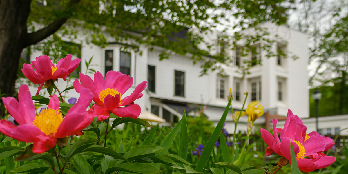 bradley house in summer