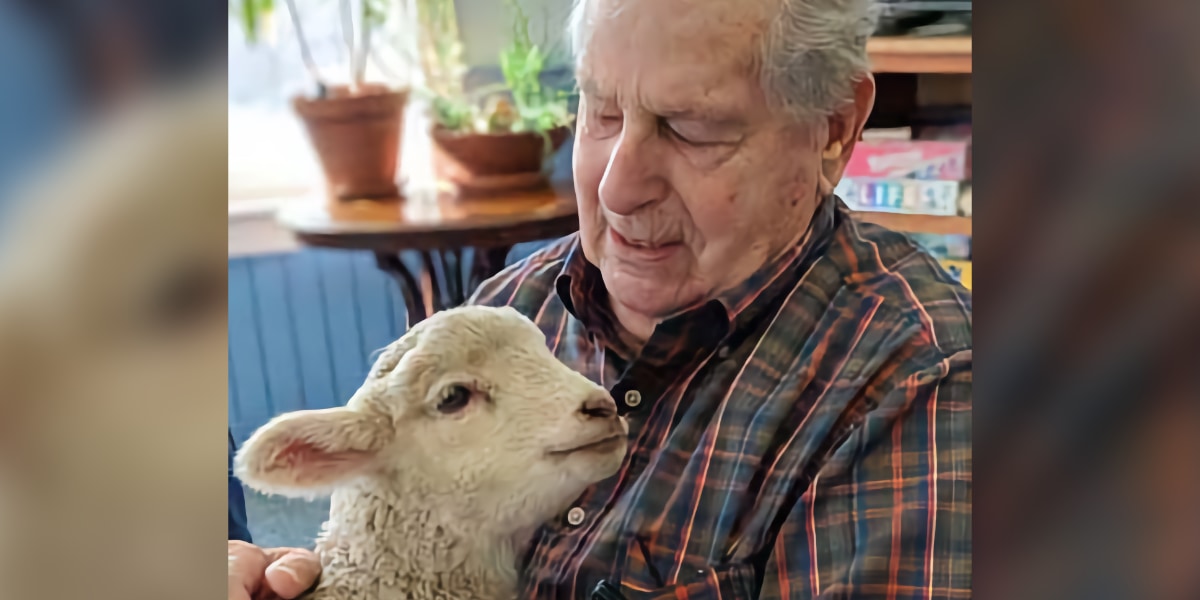 man holding a sheep