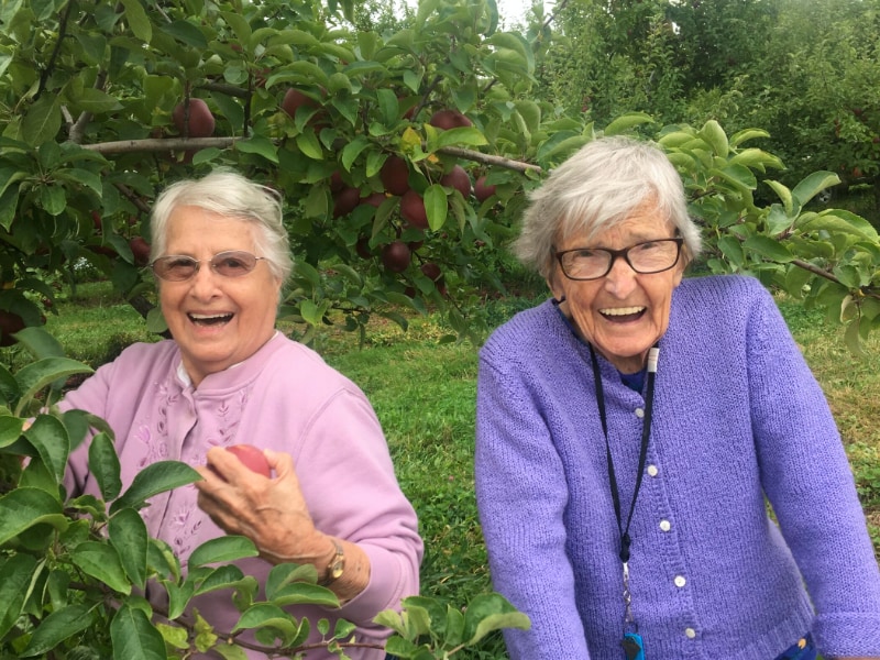 friends picking fruit